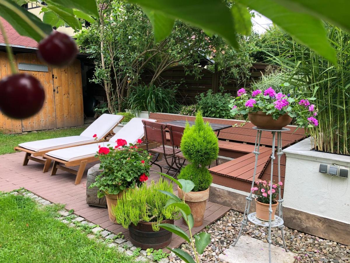 Ferienwohnung Jodla I Modrzew Jelenia Góra Exterior foto